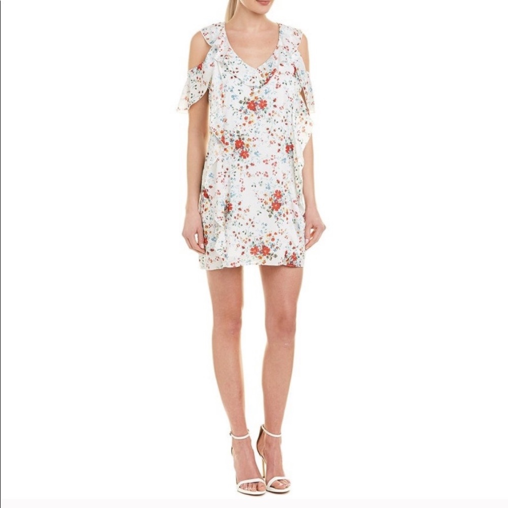 NWT Parker Sleeveless Dress- spring ditsy